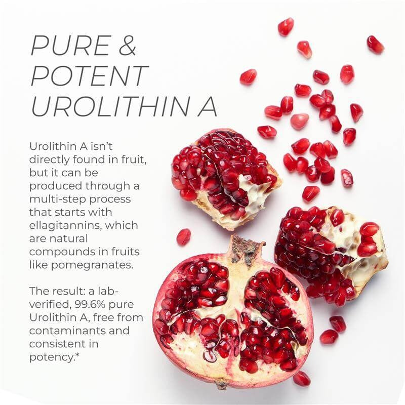 Urolithin A Pro Capsules